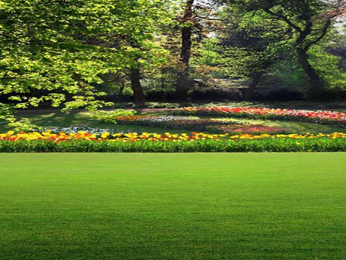 ���@�(xi��ng)Ŀ�����ƺ